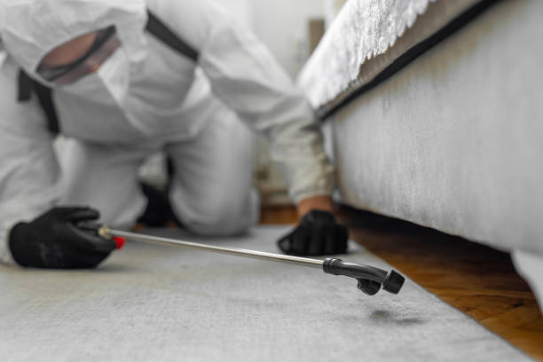 Professional Termite Control technician working in Baraboo, WI