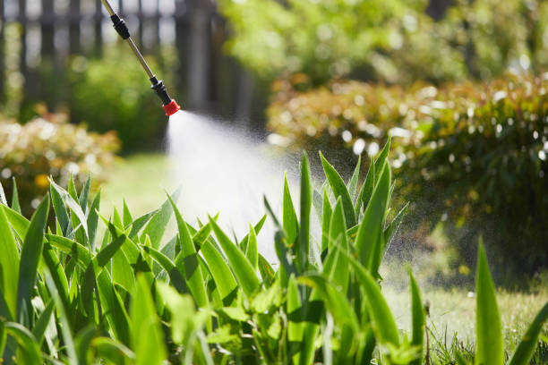 24/7 Emergency Termite Control experts in Baraboo, WI